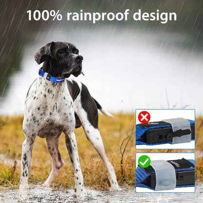 LED Dog Collar-Usb Rechargeable Glow Light up Dog Collars- Safety Waterproof Illuminated Flashing Light Collar for Dogs