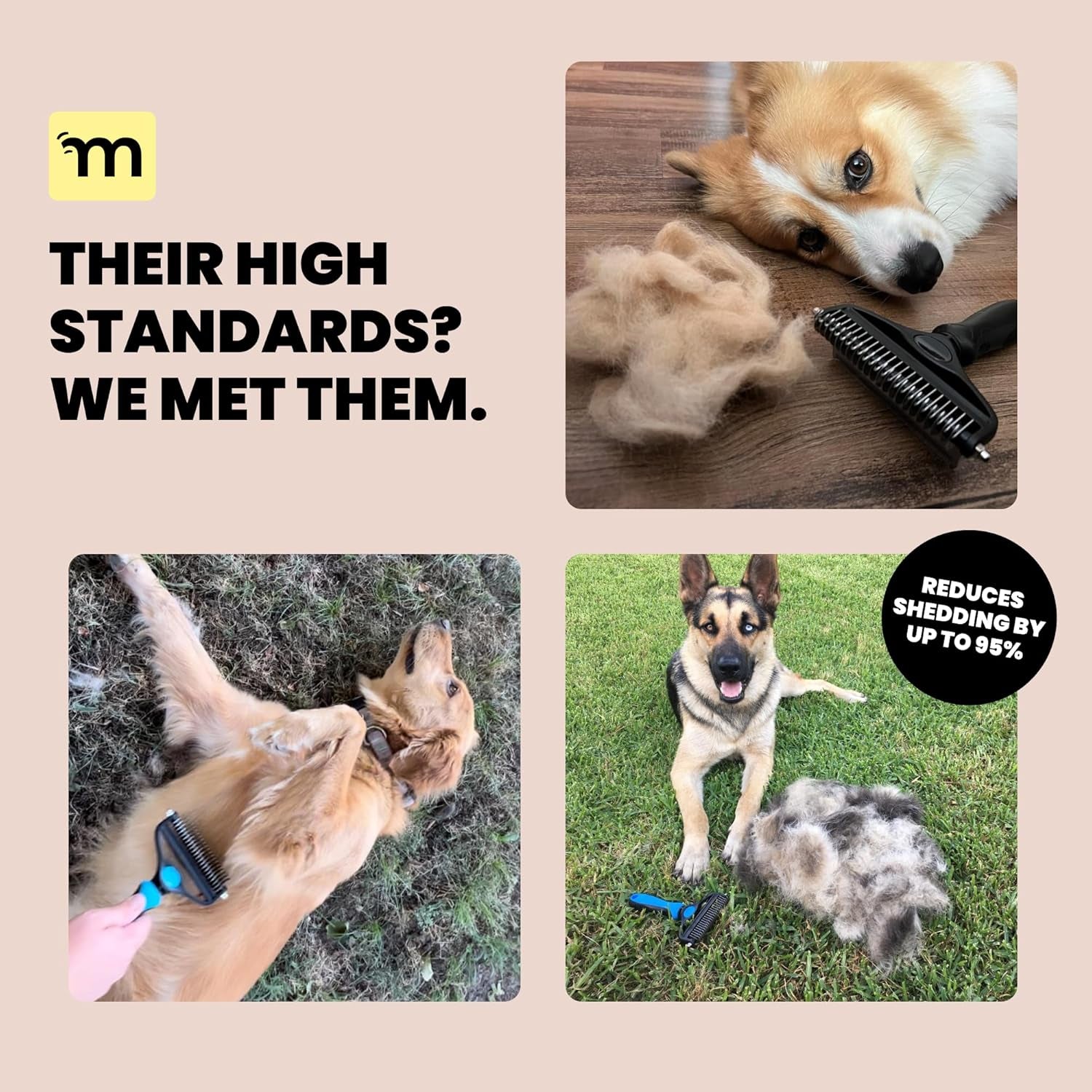 Dog Grooming Brush for Shedding - 2 in 1 Deshedding Tool and Undercoat Rake for Long and Short Haired Dogs with Double Coat - Dematting Comb and Pet Hair Deshedder Supplies (Large, Blue)