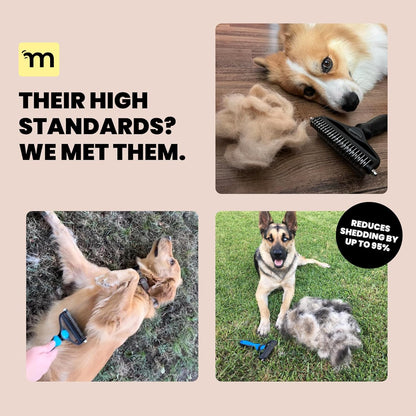 Dog Grooming Brush for Shedding - 2 in 1 Deshedding Tool and Undercoat Rake for Long and Short Haired Dogs with Double Coat - Dematting Comb and Pet Hair Deshedder Supplies (Large, Blue)