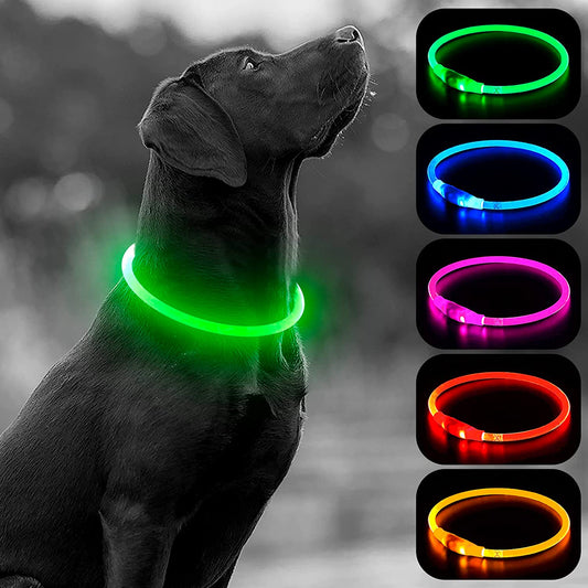 LED Dog Collar - USB Rechargeable Light up Dog Collars Glow in the Dark - Waterproof LED Dog Necklace Light for Night Walking (Green)