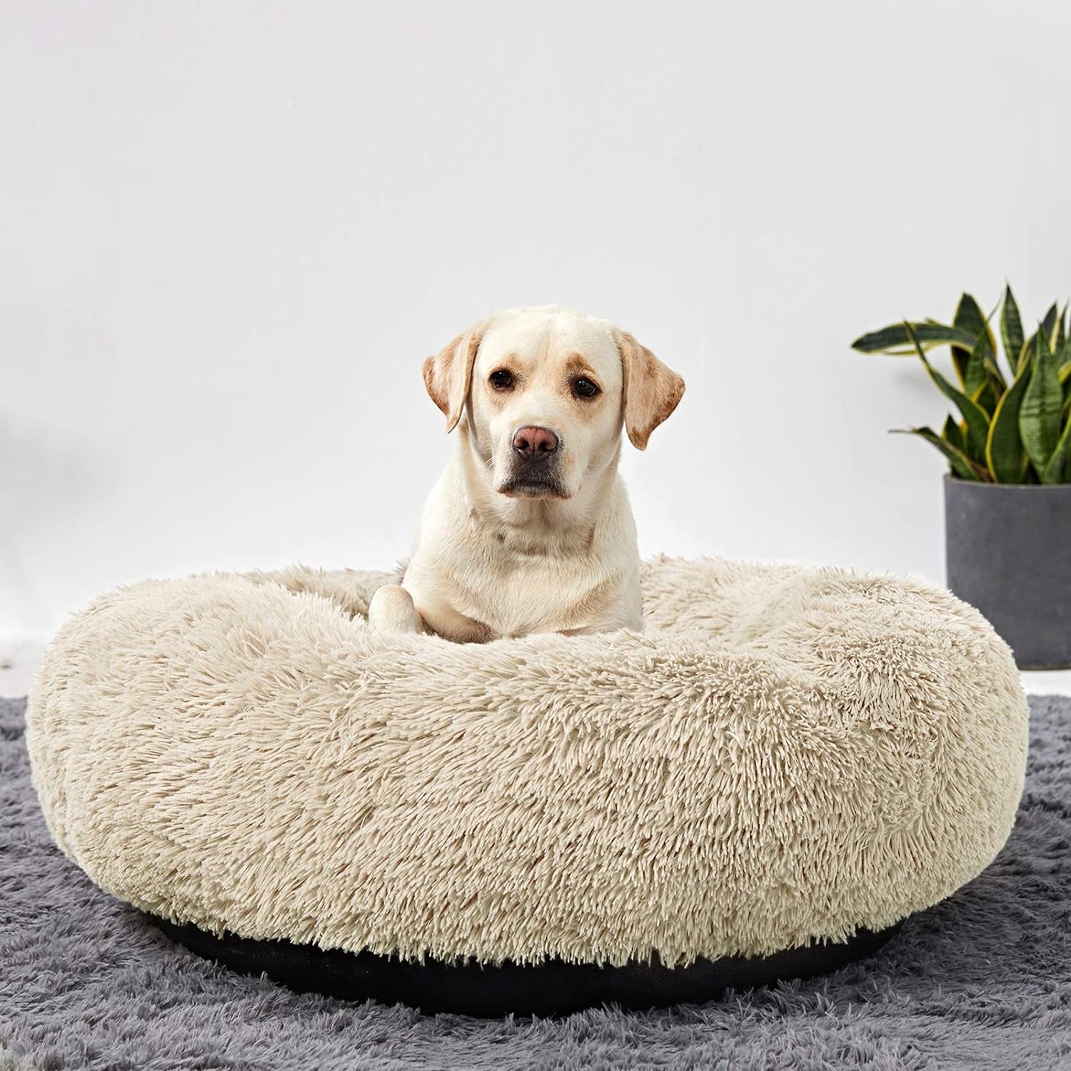 Washable Dog round Bed Large Dogs, Donut Dog Bed Medium Dog, Comfy Dog Calming Cuddler Bed