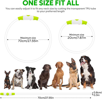 LED Dog Collar - USB Rechargeable Light up Dog Collars Glow in the Dark - Waterproof LED Dog Necklace Light for Night Walking (Green)