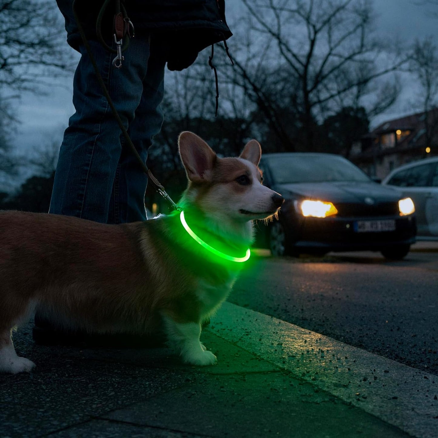 LED Dog Collar - USB Rechargeable Light up Dog Collars Glow in the Dark - Waterproof LED Dog Necklace Light for Night Walking (Green)