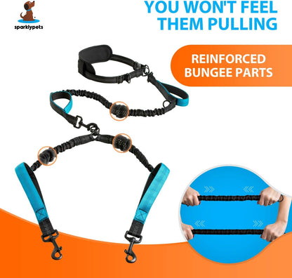 Hands-Free Dog Leash for Medium and Large Dogs – Professional Harness with Reflective Stitches for Training, Walking, Jogging and Running Your Pet