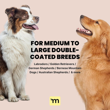 Dog Grooming Brush for Shedding - 2 in 1 Deshedding Tool and Undercoat Rake for Long and Short Haired Dogs with Double Coat - Dematting Comb and Pet Hair Deshedder Supplies (Large, Blue)